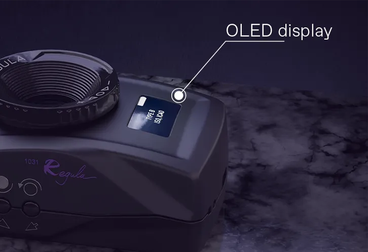 Regula 1031 - Image 5