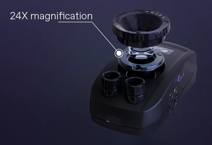 Regula 1031 - Image 3