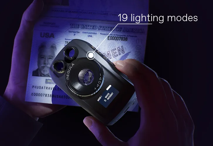 Regula 1031 - Image 2